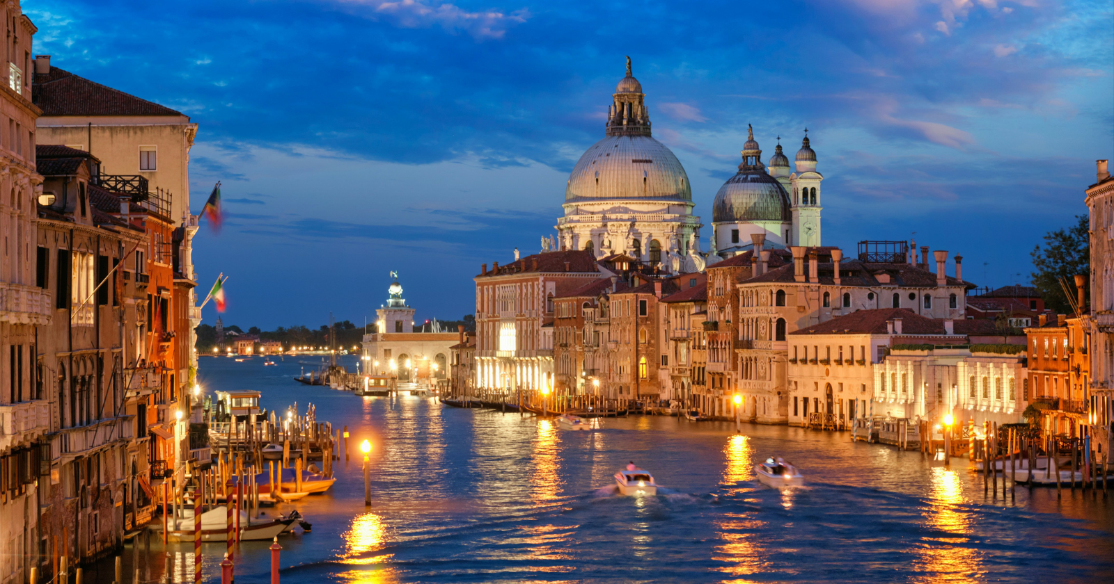 Venice is standing on millions of tree trunks hammered upright into the lagoon mud a thousand years ago, and they never rotted — buried in oxygen-starved silt, the wood slowly turned to something closer to stone, which is why the city is still there.