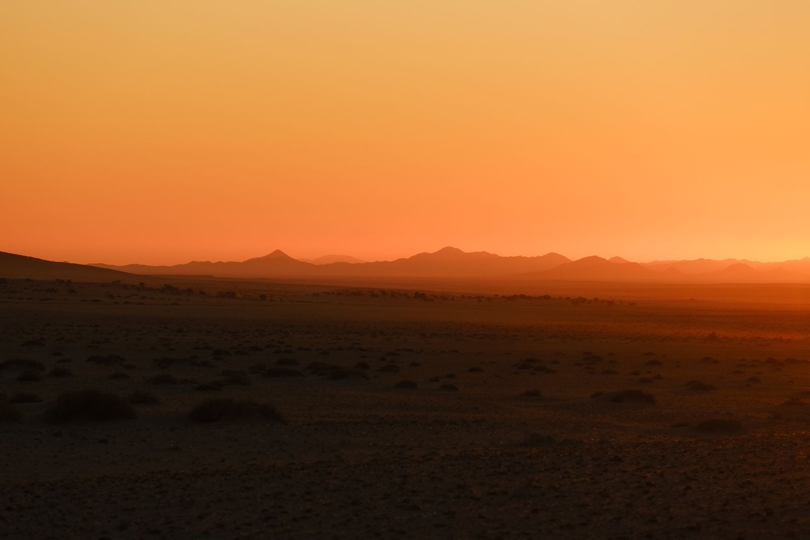 Venus surface panorama