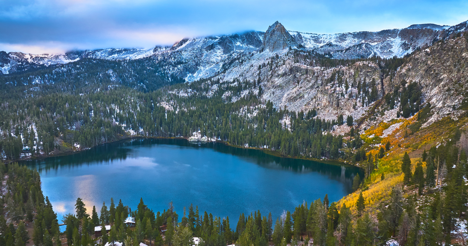 Cornell researchers covered California's Sierra Nevada with 1,600 microphones across six million acres of forest and analysed more than 700,000 hours of recordings, 80 years of continuous audio, to map where ten bird species live under different forest and fire conditions.