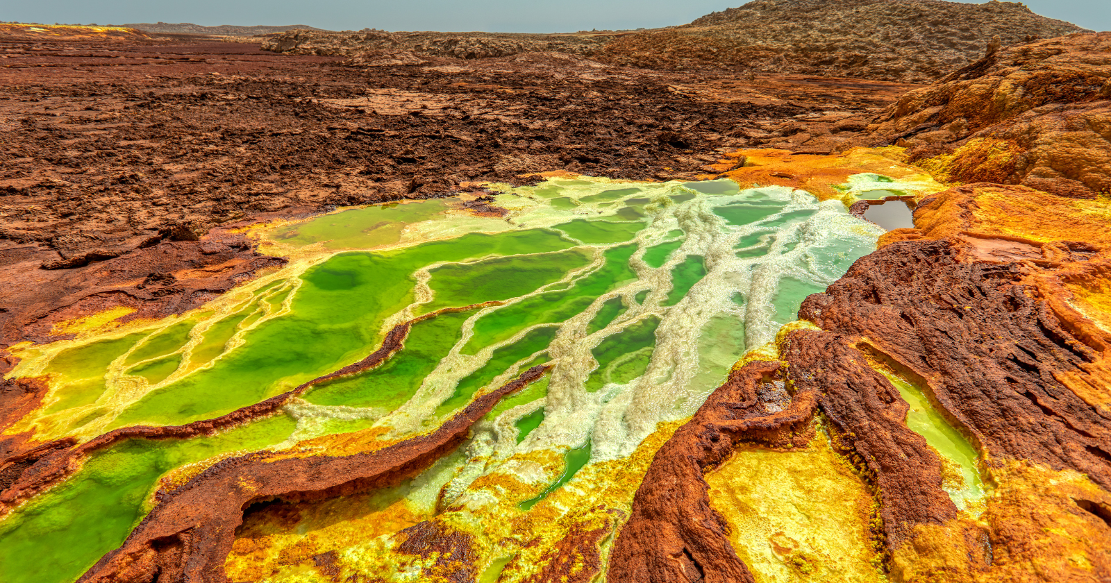 A pond in Ethiopia's Danakil Depression has a measured salinity of 433 grams per kilogram — roughly twelve times saltier than the open ocean and saltier than the Dead Sea — sitting inside one of the hottest, most hostile landscapes on the planet