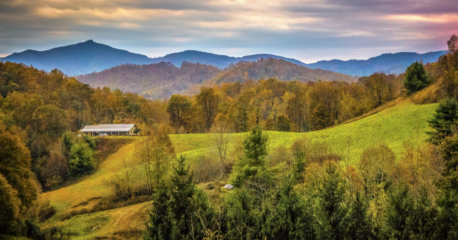 George Vanderbilt hired a young forester in 1892 to restore the exhausted farmland and cut-over woods surrounding his vast North Carolina estate — the experiment that followed transformed thousands of acres and became the first professionally managed forest in America