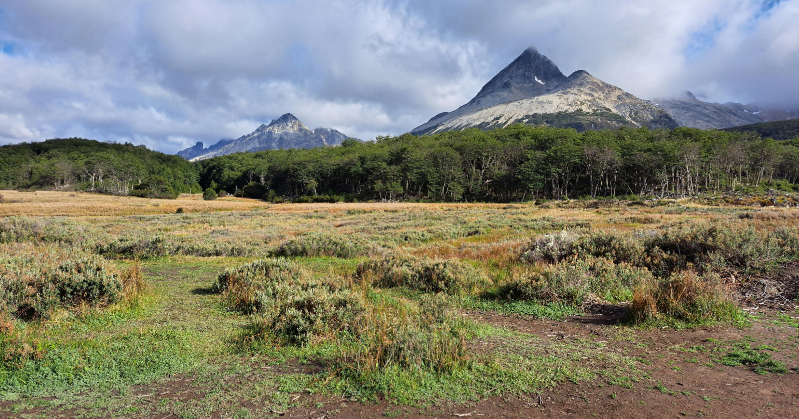 Goldman Sachs came to own 680,000 acres of Tierra del Fuego when a timber company's debt went bad — and instead of selling, the bank gave all of it away to a wildlife society, and forests once marked for clear-cutting became one of Chile's largest private nature reserves