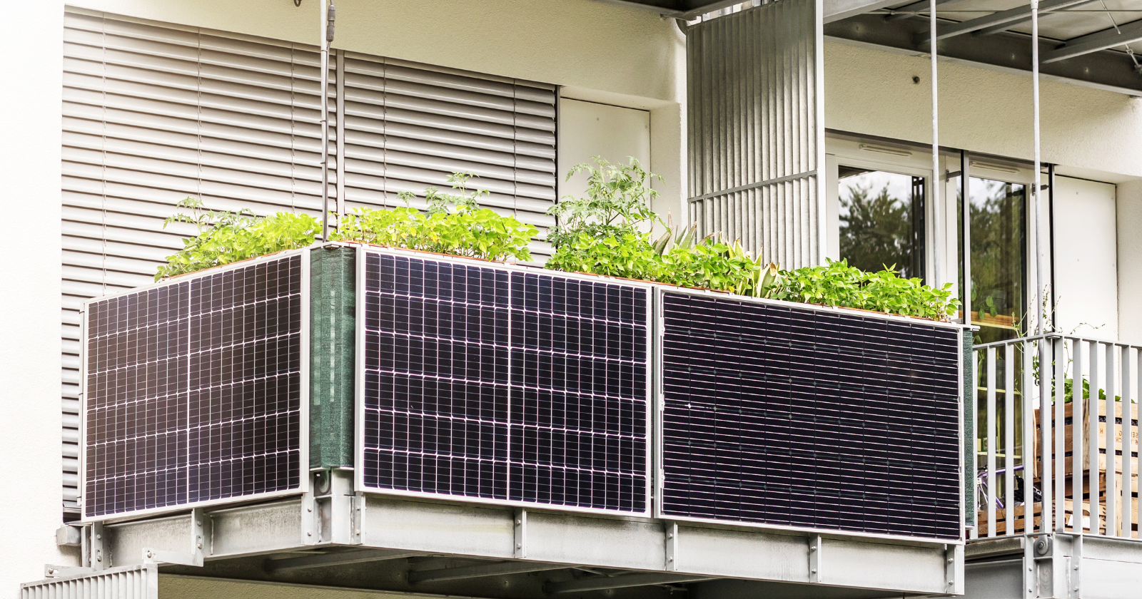 More than a million German households have hung solar panels off their balcony railings and plugged them into a wall socket, and the law caps each at 800 watts — a fridge and a laptop — because in a country where 55 percent of households rent, the balcony is the only roof a tenant controls