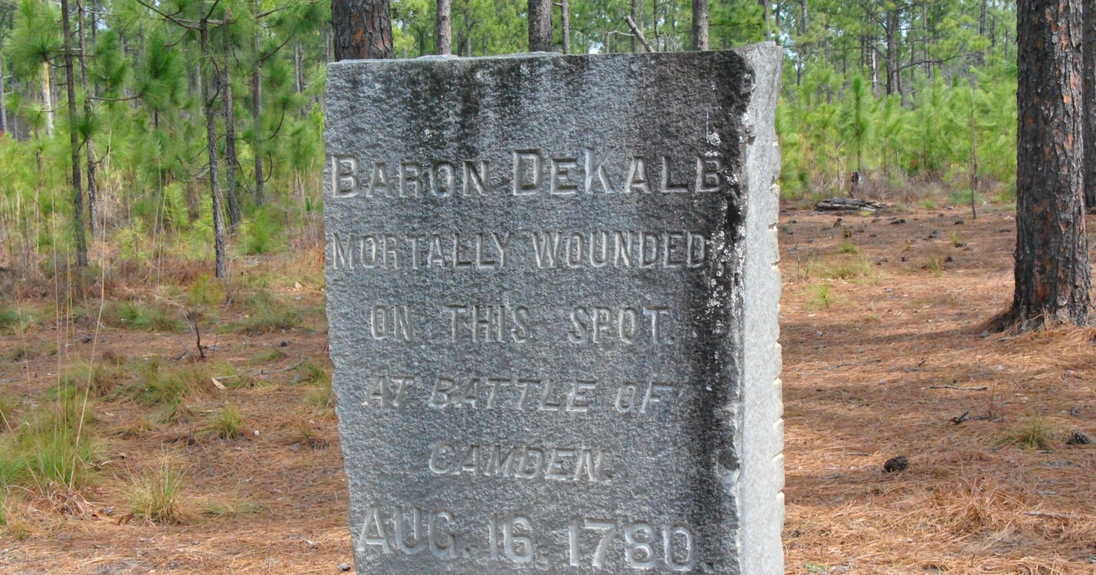 A Maryland orphan who enlisted in Baltimore at an estimated 13 to 15 years old died in a South Carolina pine forest three and a half years later and went into a shallow grave with four other Continentals — nameless until DNA from a fragment of his skull gave him back his name nearly 246 years on