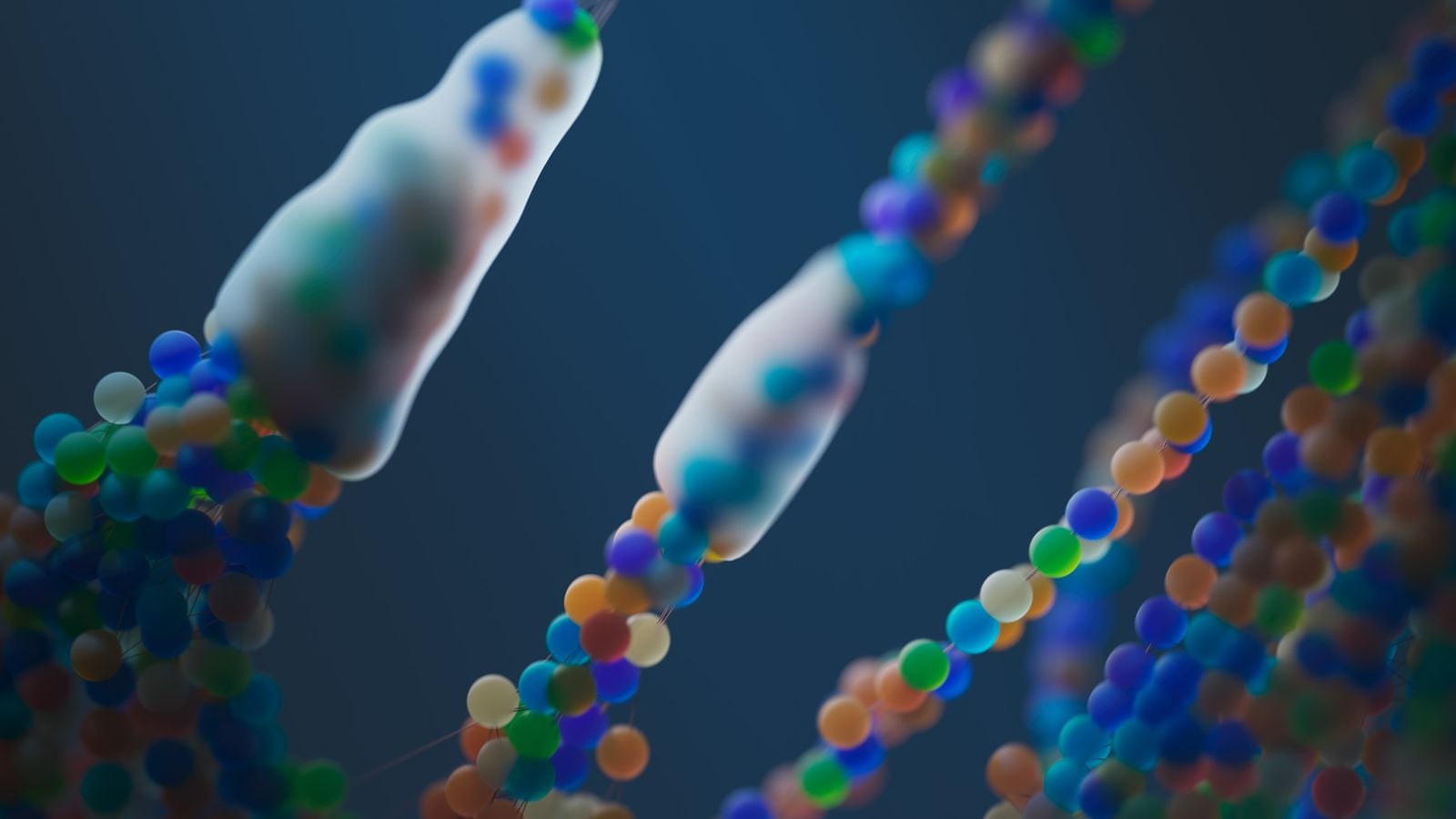 chromosome telomere illustration