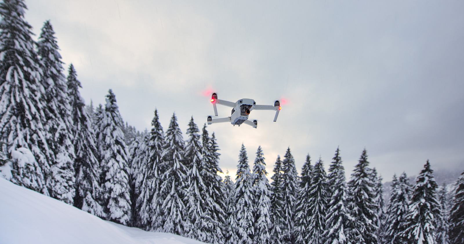 Fourteen drone flights over one ice-free point in the South Shetland Islands counted 38,080 chinstrap penguin nests where researchers once tallied nearly 90,000 breeding pairs by hand, meaning more than half the colony has disappeared in roughly three decades