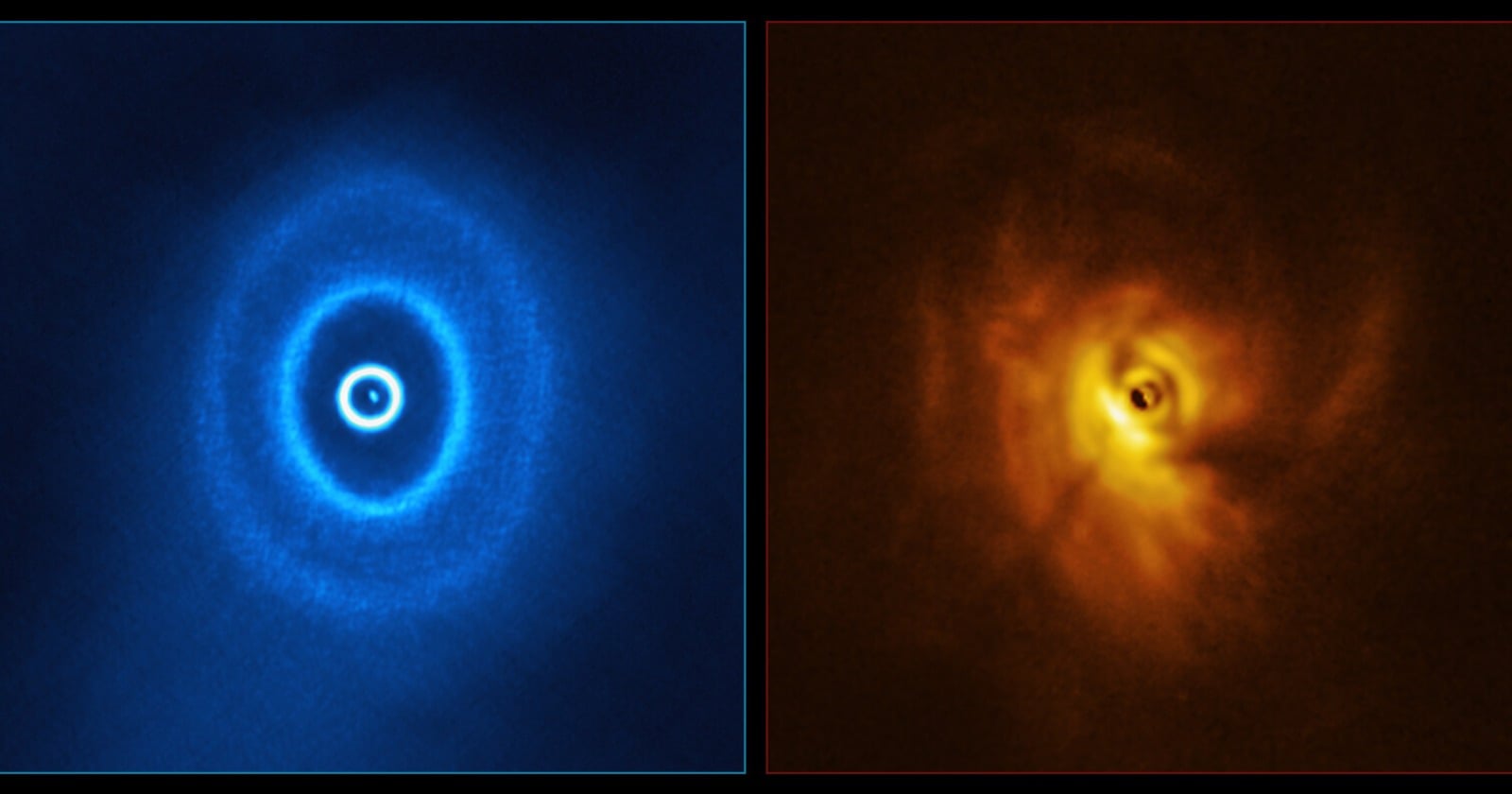 Two telescope views of the young triple star GW Orionis side by side. Left, a blue radio image showing bright concentric dust rings around the stars. Right, a gold infrared image of the same disc showing dark shadows cast across it.