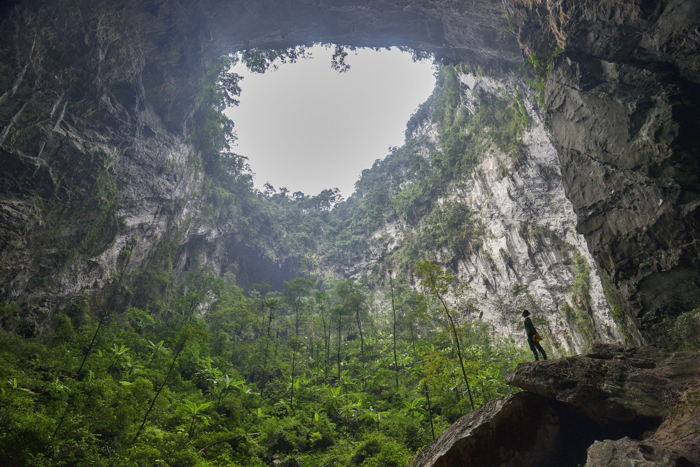 Hang Sơn Đoòng (Son Doong Cave), Vietnam — Second Doline daylight shaft with rainforest growing inside the cave