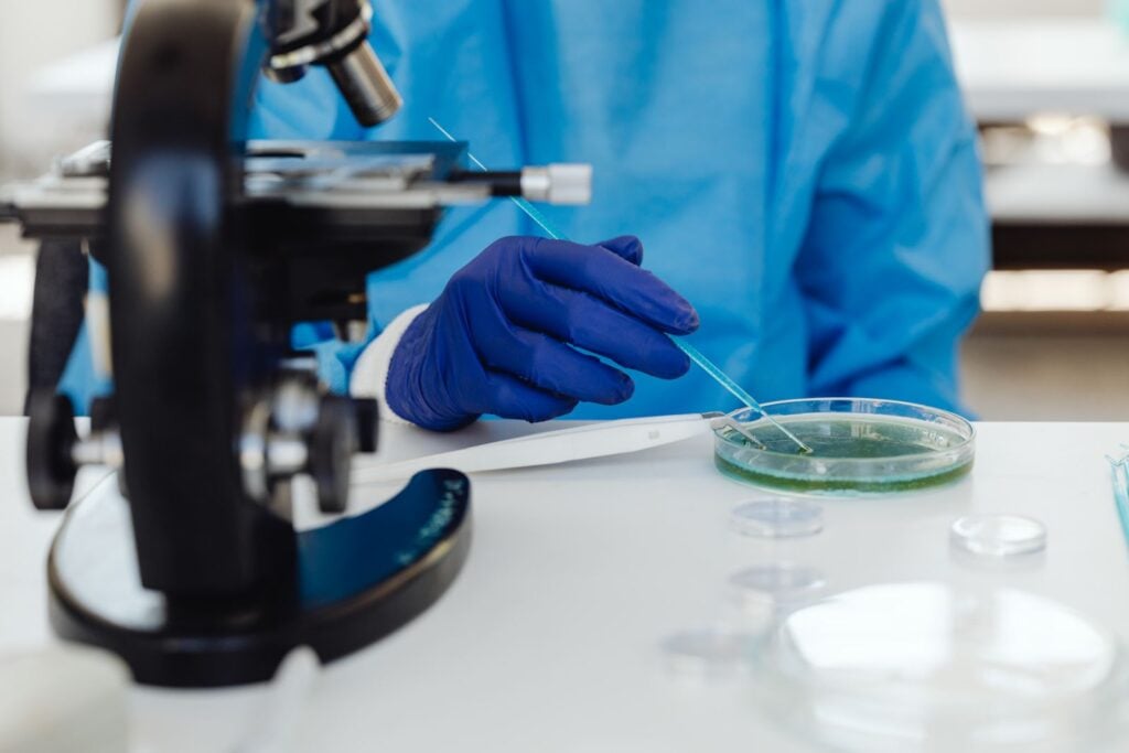 Harvard neuroscientists kept peppercorn-sized clumps of human brain cells alive in a dish for more than five years, tripling the previous 694-day record set in 2021 and long enough that the organoids began mimicking developmental stages seen in living people