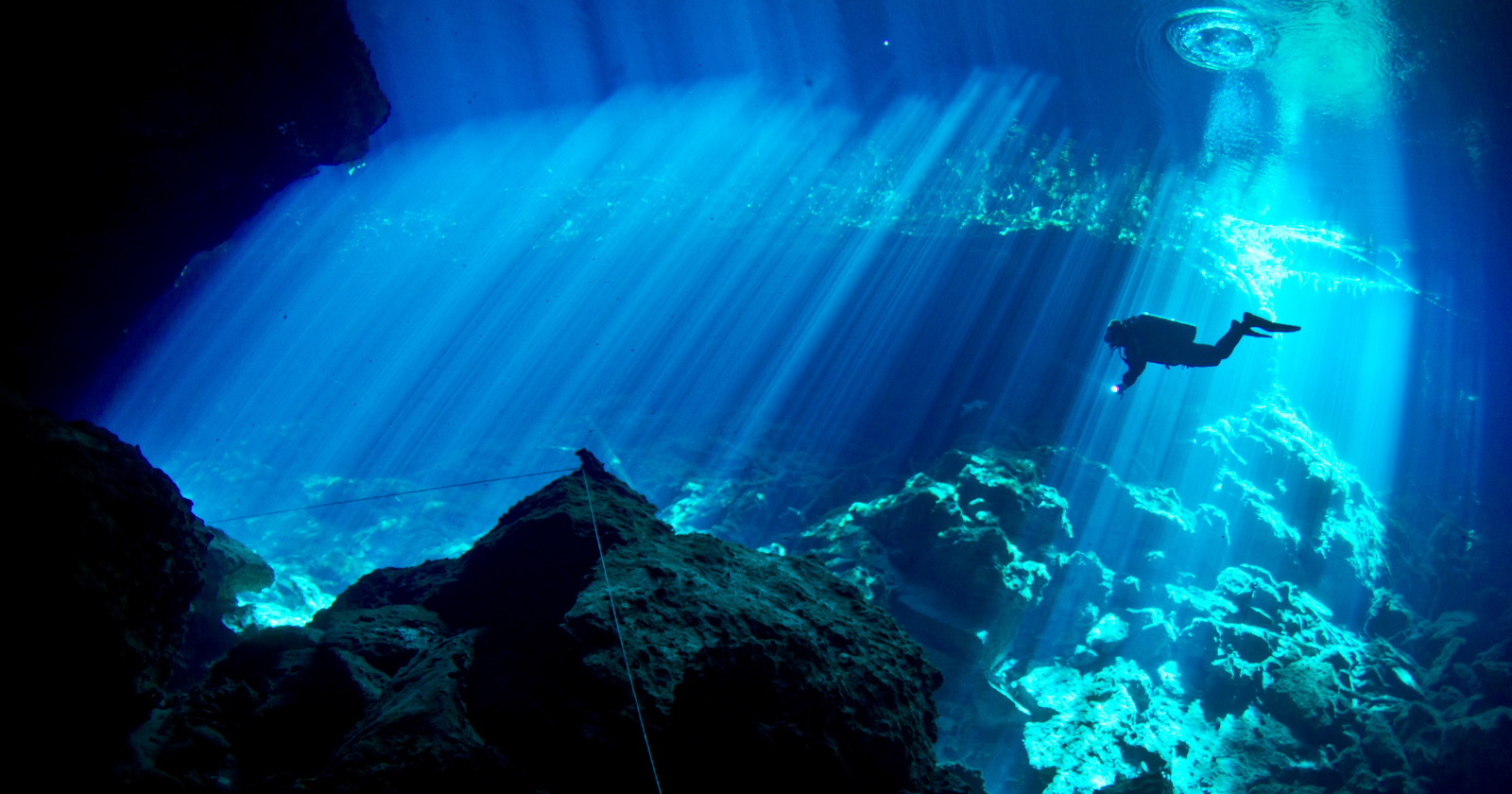 One hydrophone sitting 891 meters down in Monterey Canyon, wired to shore by 52 kilometers of cable, recorded 2,111 days out of 2,192 between July 2015 and June 2021, and humpback song climbed from 34 percent of days to 76 while blue whale song fell away after a marine heat wave.