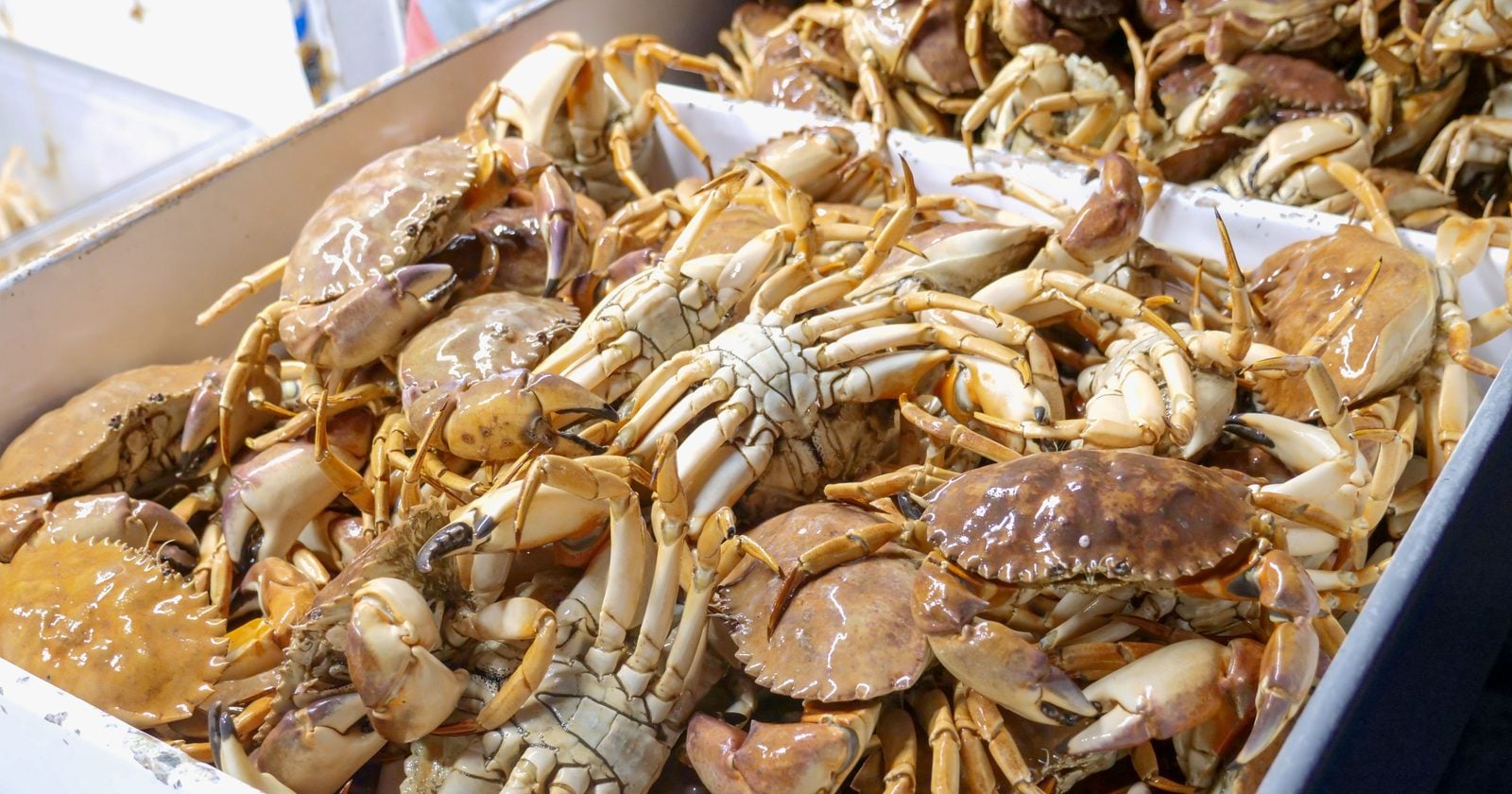 A material found in crab and shrimp shells ,usually thrown out by the seafood trade, was made into a gel and used as the working fluid inside a zinc battery. The zinc anode ran for more than 1,000 cycles at 99.7 percent Coulombic efficiency.