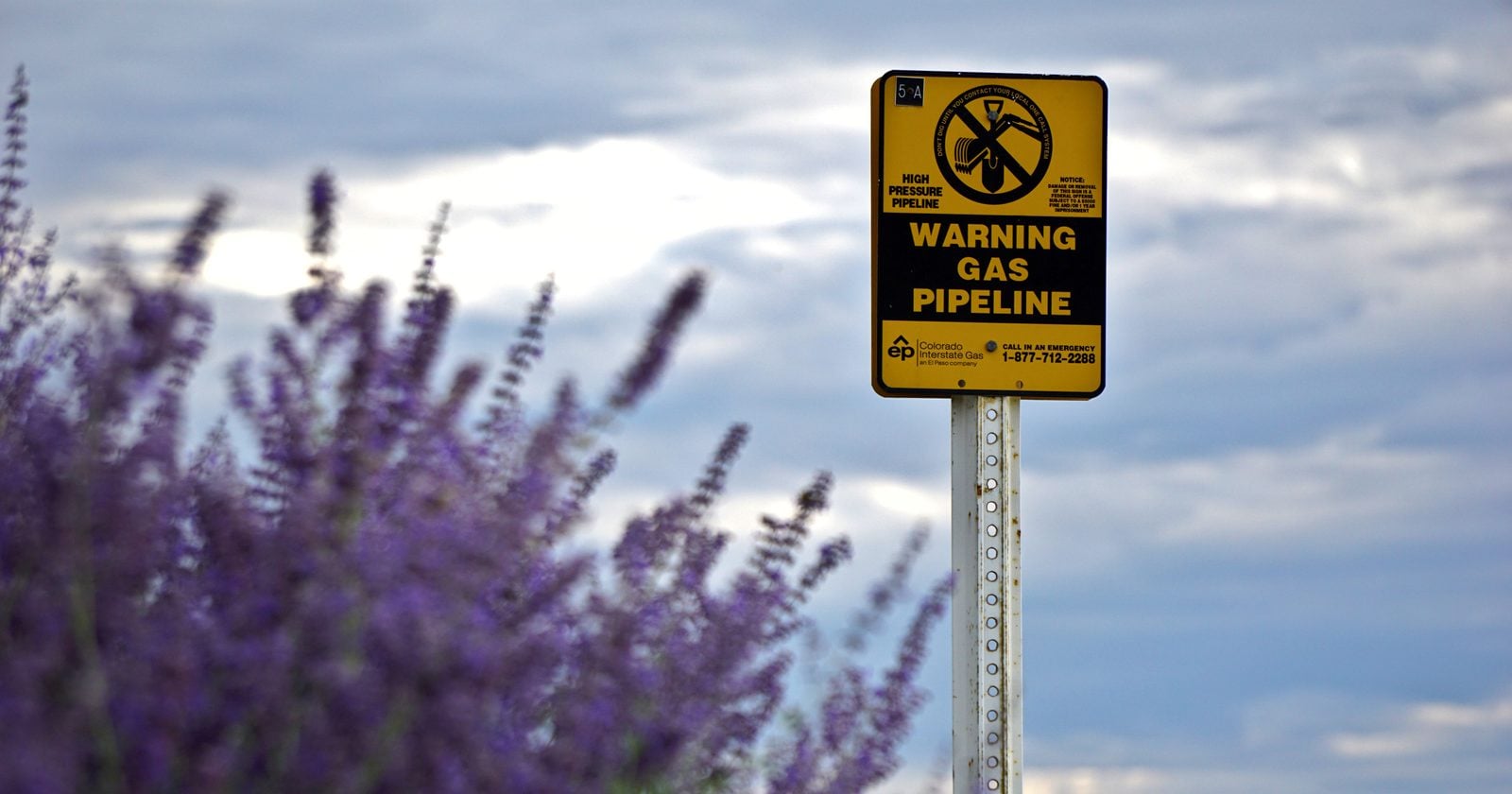 In 2018, a gas pipeline company took an easement across a Virginia family's 560-acre property on Bent Mountain. After years of fighting over compensation, the family won a $523,000 jury award—but the company kept its right to use the land.