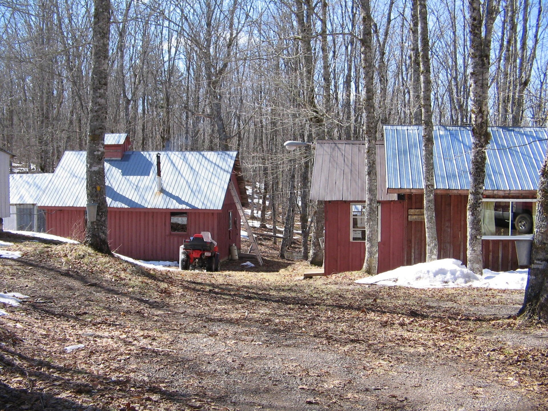 A retiree kept about 800 gallons of maple syrup in the barn; when the next spring’s sales came in, Social Security did not treat that work as new earnings that restarted the clock