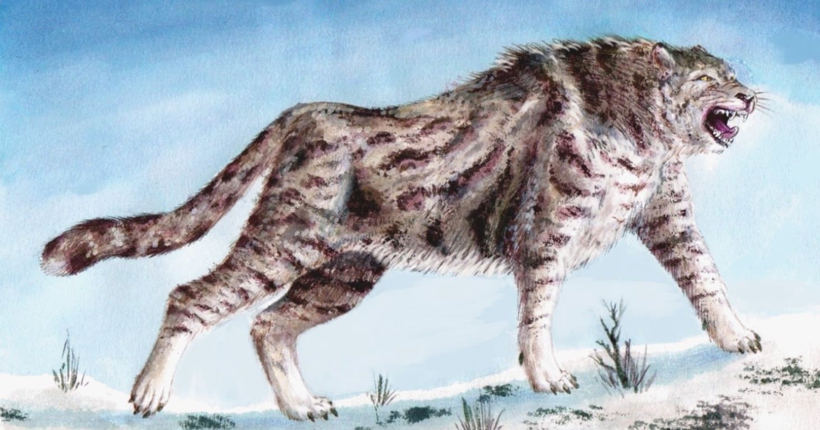 Ancient DNA from three fossils in Arctic Yukon extends the extinct American cheetah's known range by more than 20 degrees of latitude, and the nitrogen in their bones sits higher than in any other Ice Age carnivore of the same period and region the study compares them against