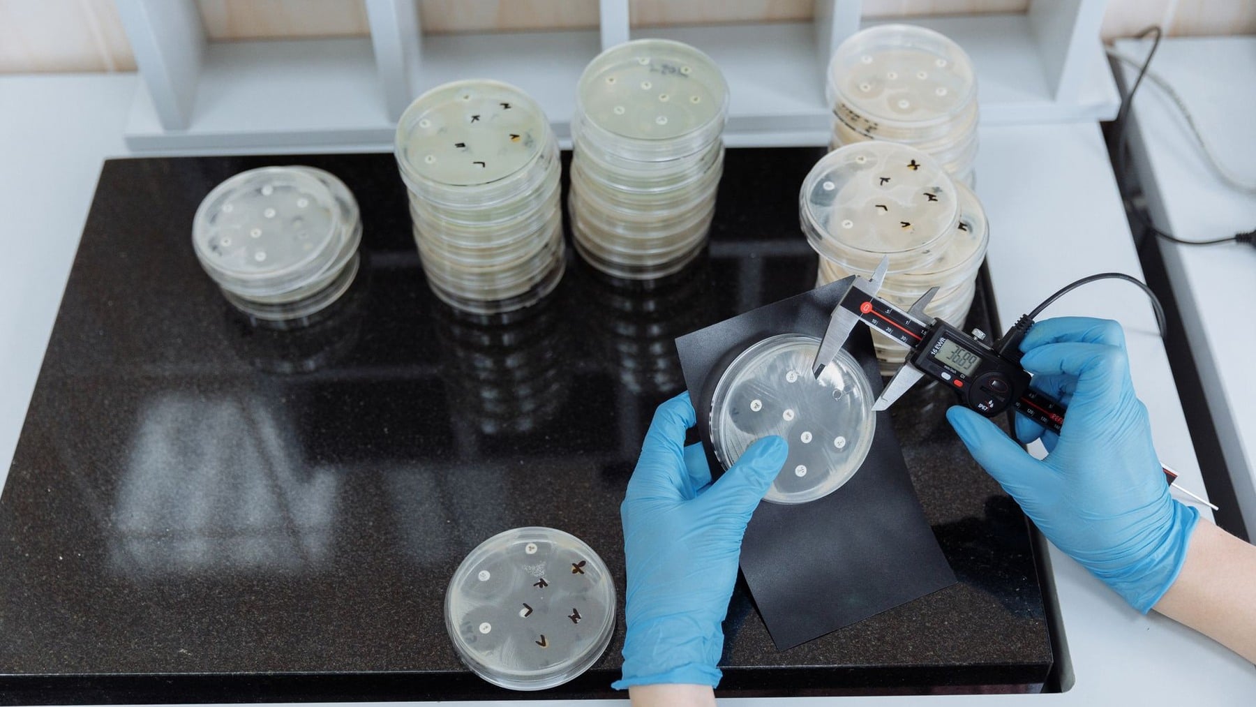 Every living eukaryote appears to descend from a single ancestral lineage in which an archaeal-related cell formed a permanent partnership with a bacterium that became the mitochondrion. It is the only successful origin of mitochondria known, although neither the merger’s precise mechanism nor the number of failed, vanished attempts can be established.