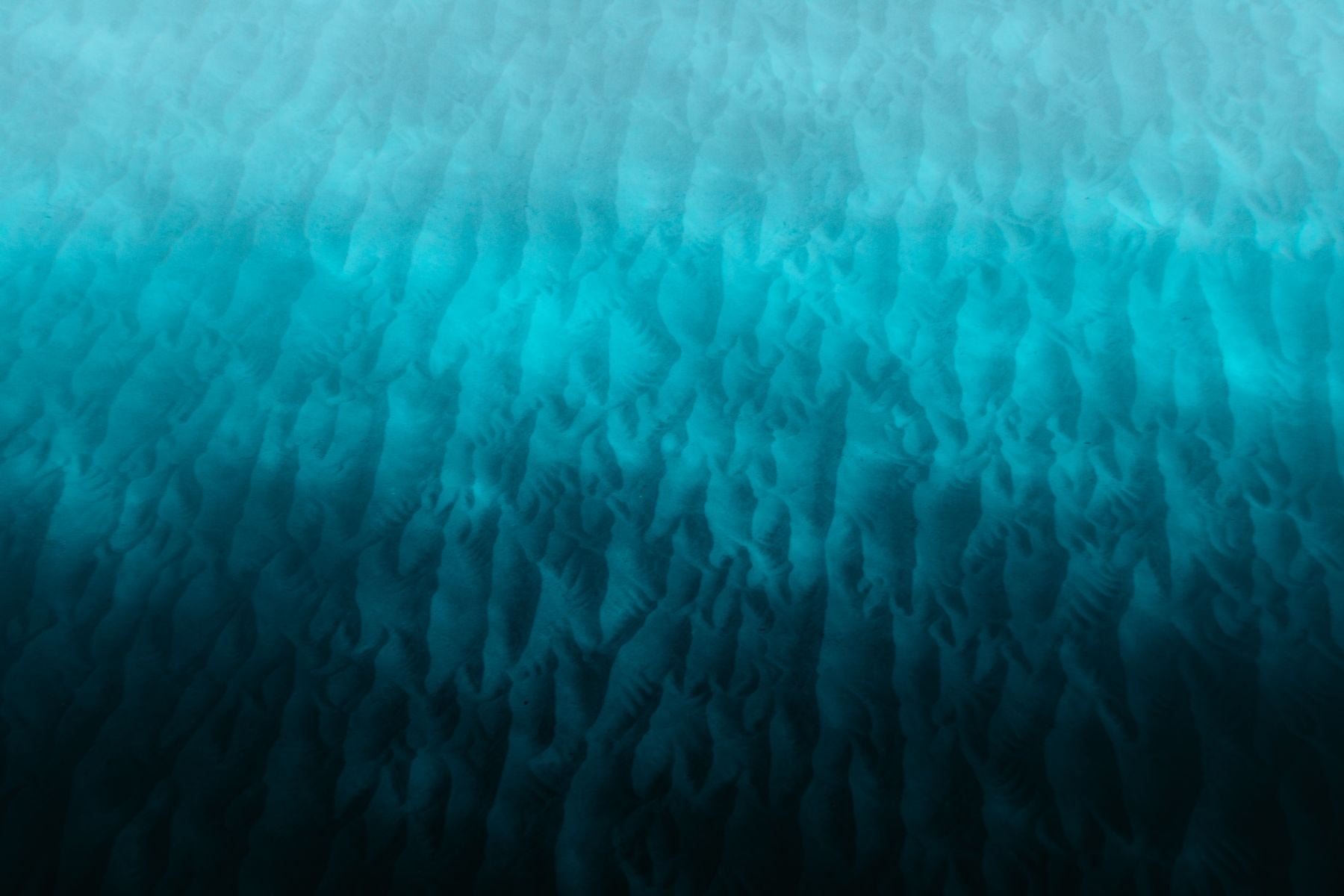 Sunlight over rippled sand on a shallow seabed, used as a representative ocean-floor image