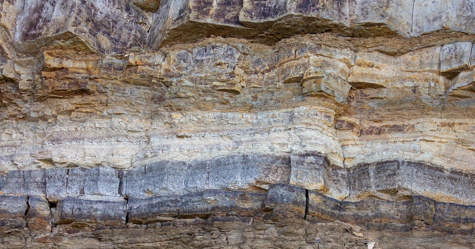 Close-up of a layered rock face showing fine sedimentary banding