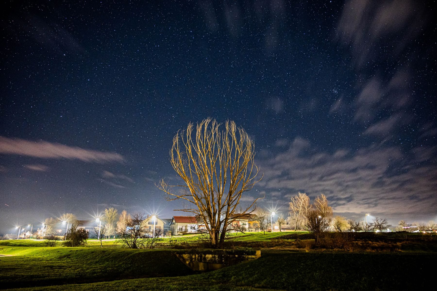 An illuminated park beneath a star-filled night sky, used as a representative image