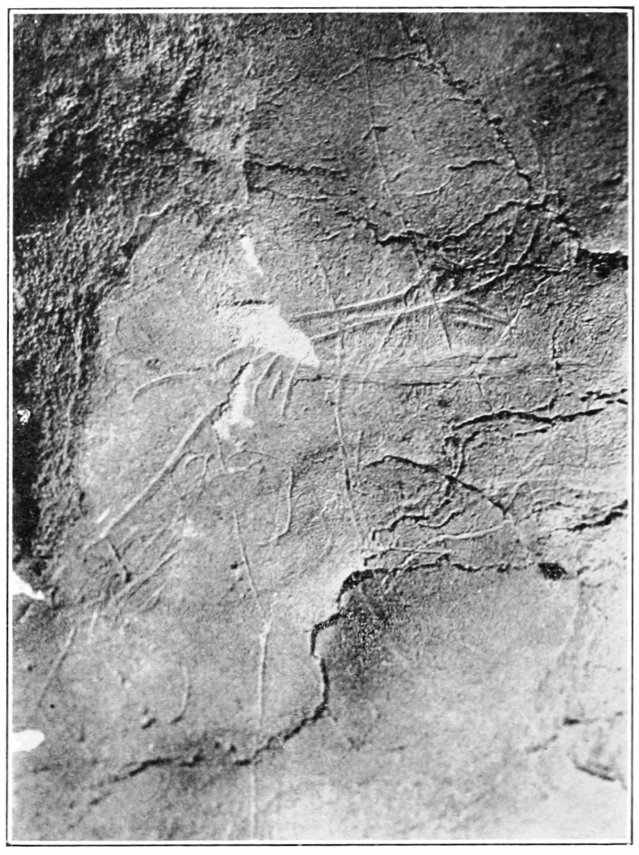 An algorithm-guided survey of eight caves in southwest Ireland found art dated to about 15,000 years ago, pushing known human presence on the island roughly 5,000 years earlier than previously thought