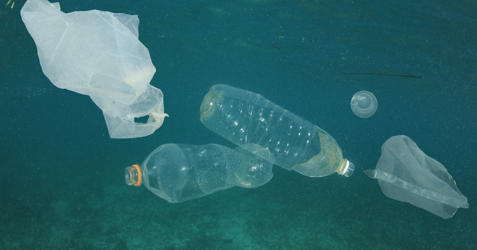 A silk mesh recorder towed at 7 meters behind ferries and container ships logged 16,725 tows across the North Atlantic between 1957 and 2016, and the fault reports nobody filed as pollution data held 208 plastic entanglements, the first one a length of trawl twine off Iceland in 1957.