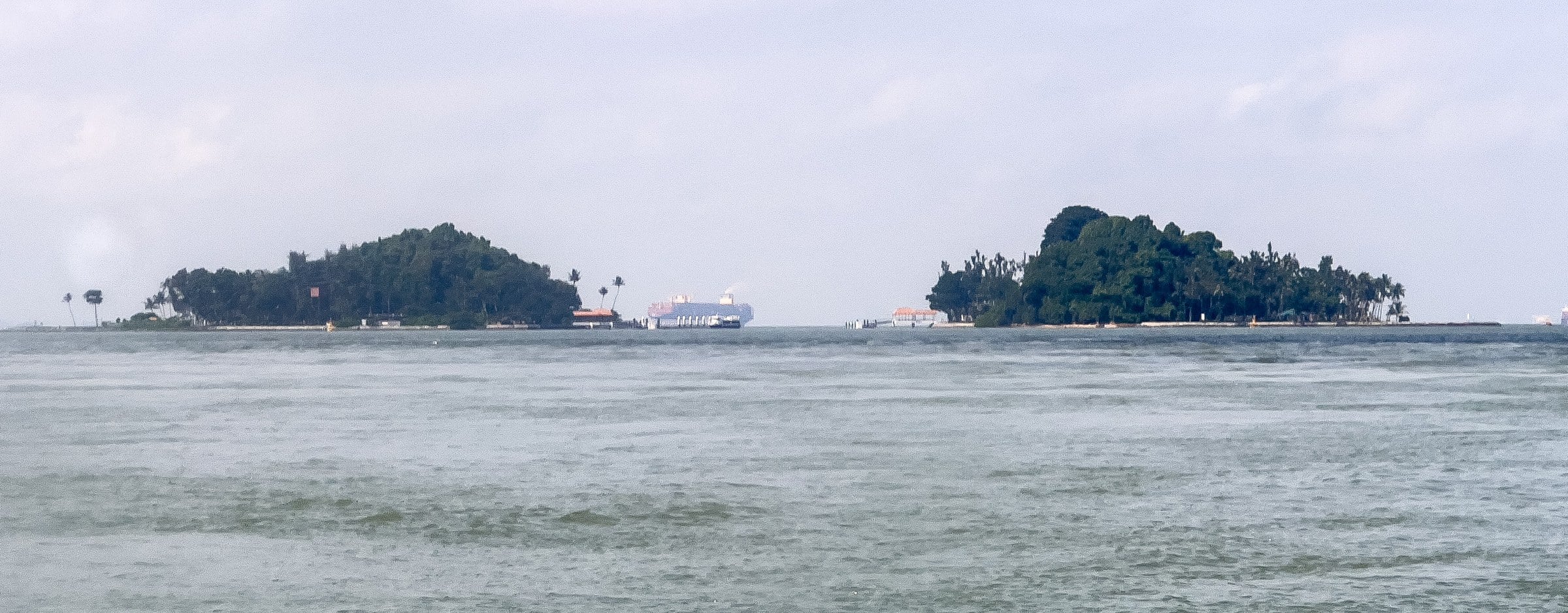 In 2018, JTC and NParks sank eight reef structures on bare sand off Small Sister's Island; by February 2022 the two left unplanted carried 95 coral colonies from seven genera