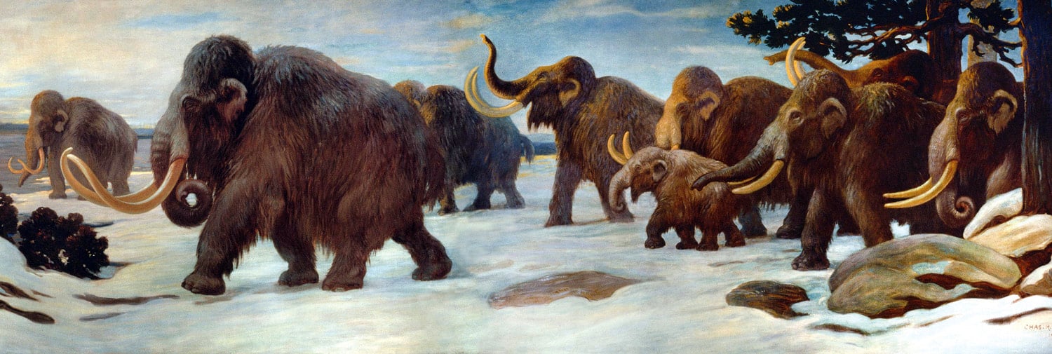 Woolly mammoths walking across a Pleistocene landscape