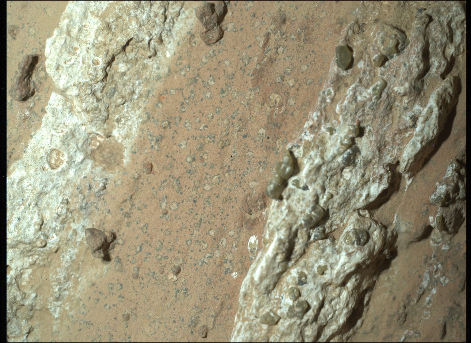 The organic carbon Perseverance found in Jezero Crater’s ancient river mudstones lies more than 3,500 kilometres from organic molecules detected by Curiosity in Gale Crater—evidence that the chemical ingredients associated with life may have been widespread across ancient Mars, rather than confined to a single lake system.