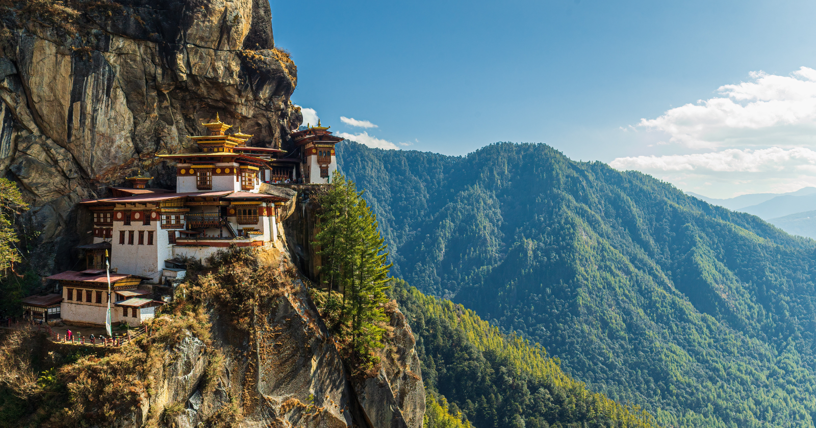 Bhutan's constitution requires that at least 60 percent of the country stay under forest, and the actual figure sits above 70. It absorbs more carbon than it emits, which makes it one of very few countries that is carbon negative rather than aiming to be.
