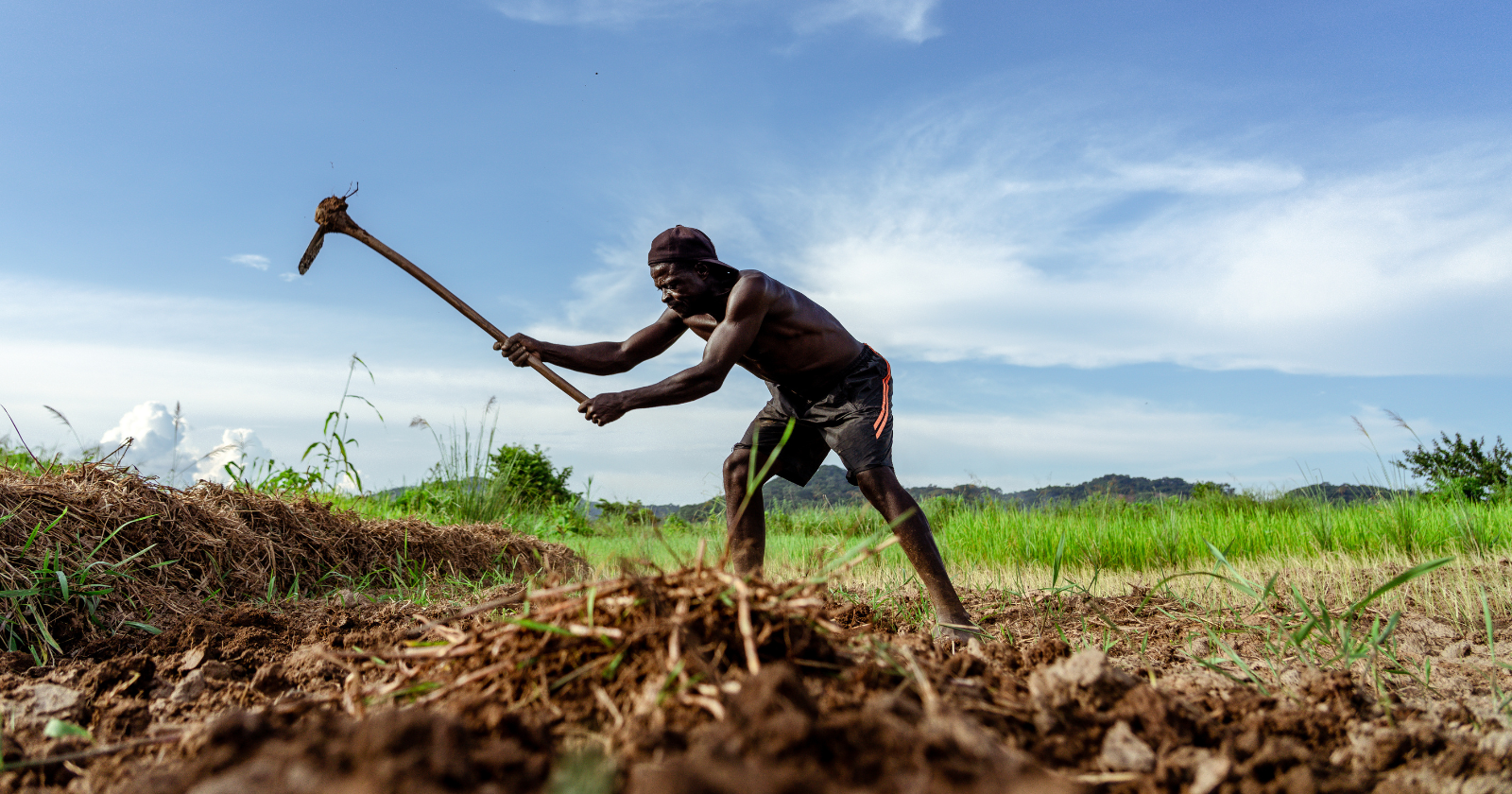 A farmer in Burkina Faso revived an abandoned technique of digging shallow pits, filling them with manure and letting termites tunnel underneath to open the hardpan. Land that had been written off as dead came back into production, and the method spread across the Sahel by word of mouth.